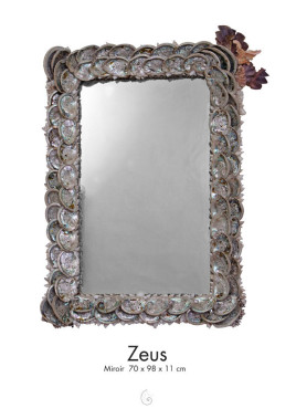 ZEUS